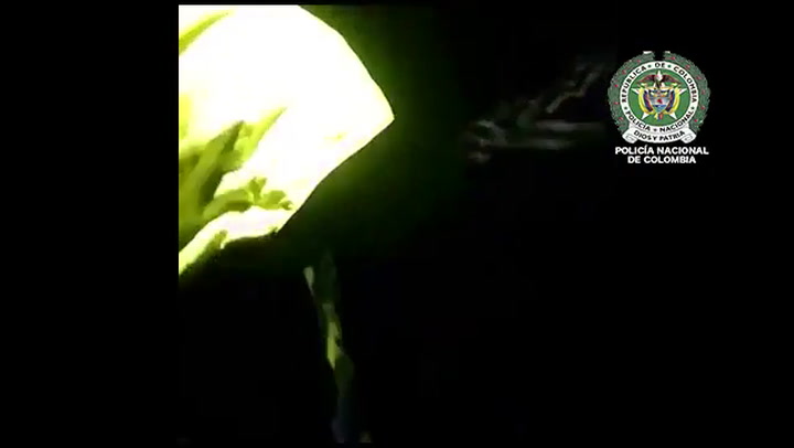 El video del dramático rescate de Edwin Tumiri, uno de los sobrevivientes del accidente del Chapecoe