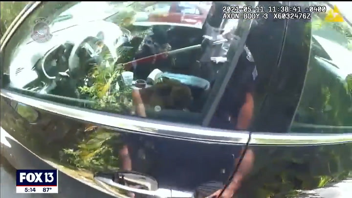 Florida police smash car window to save dog from 115F heat
