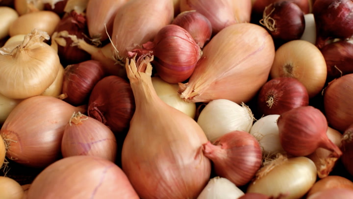 Shallots ! How Similar Are They to Onions & Garlic?