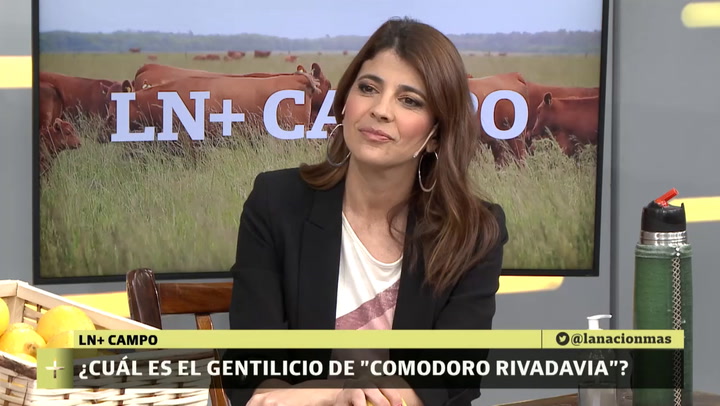 LN+CAMPO Gentilicio Comodoro Rivadavia