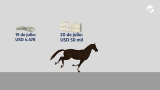 La evolución del valor declarado de “Belleza de Arteaga”, el mejor caballo de carreras de Argentina