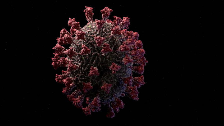 Así es el modelo 3D más preciso hasta ahora del coronavirus