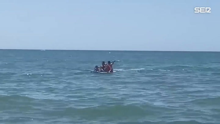 El susto de un grupo de turistas de una playa de España tras la aparición de una orca cerca de la co
