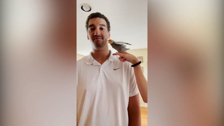 Jealous parrot repeatedly tries to peck owner’s boyfriend