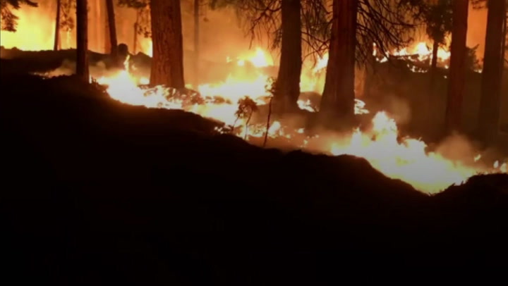Wildfire rages in Yosemite threatening giant sequoia trees