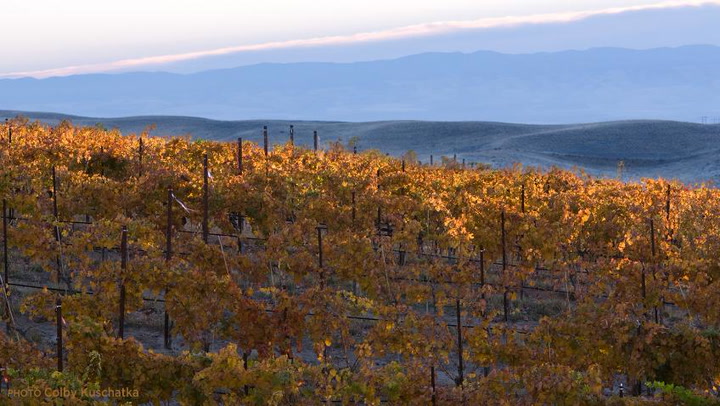 Washington State Primer: Chardonnay & Cabernet