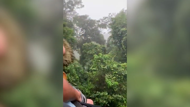 Niño se encuentra con oso perezoso en la selva tropical de Costa Rica