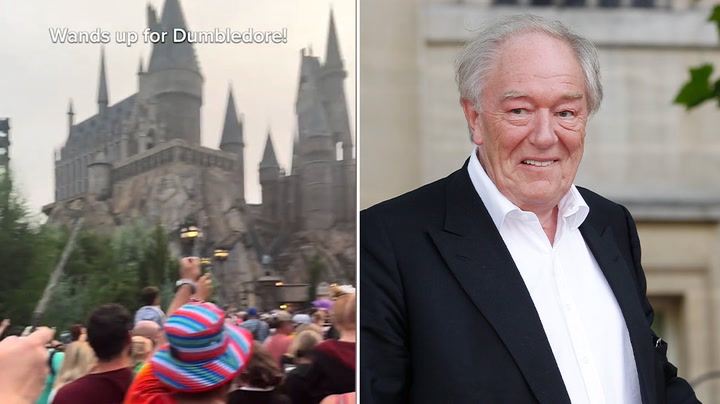 Harry Potter fans raise wands in tribute to Michael Gambon