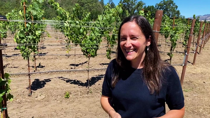 In the Vineyard with Ehlers Estate's Laura Diaz