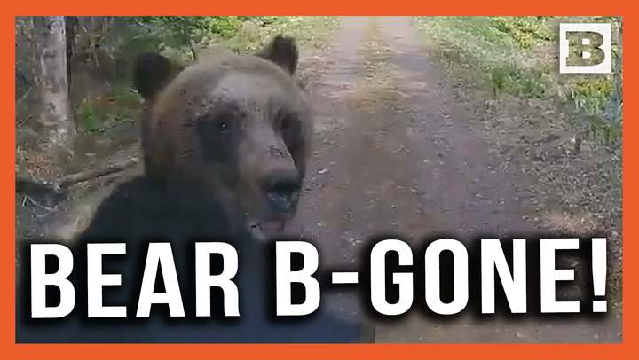 Wild! Bear Charges Truck Driving Through Forest, Smashes Windshield