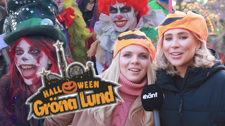 Rädsla, spyor och skratt när Hänts reportar besöker Halloween på Gröna Lund – Se klippet här