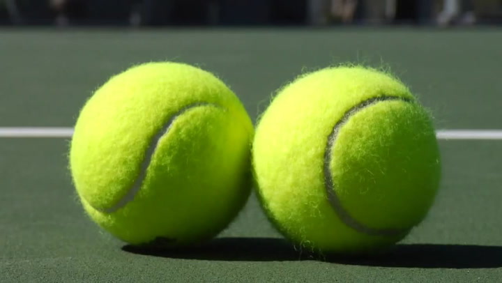 I modsætning til Ryd op Fjernelse What colour are tennis balls? Roger Federer finally confirms if they're  green or yellow - Mirror Online