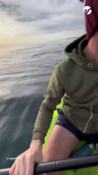 Remaban en la costa cuando fueron sorprendidos por tres ballenas