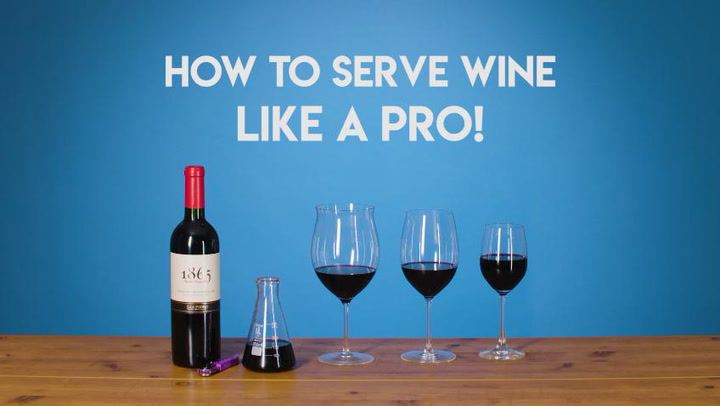 Wine 101: How to Serve Wine Like a Pro
