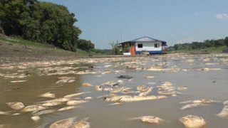 Gobierno brasileño envía ayuda humanitaria a Amazonas ante sequía "extrema"