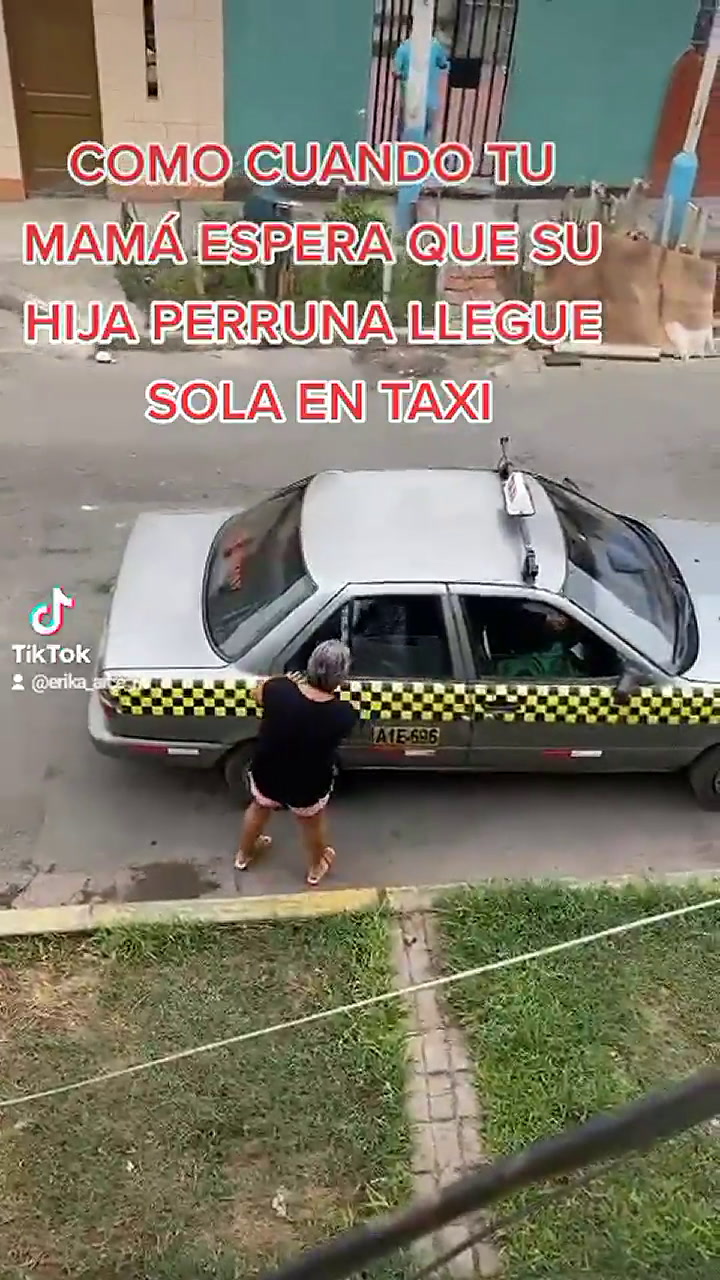 Una perrita llegó a su casa en taxi