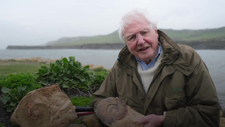 Sir David Attenborough On Painstaking Process Of Excavating Giant Sea Monster Skull Original Video M245171