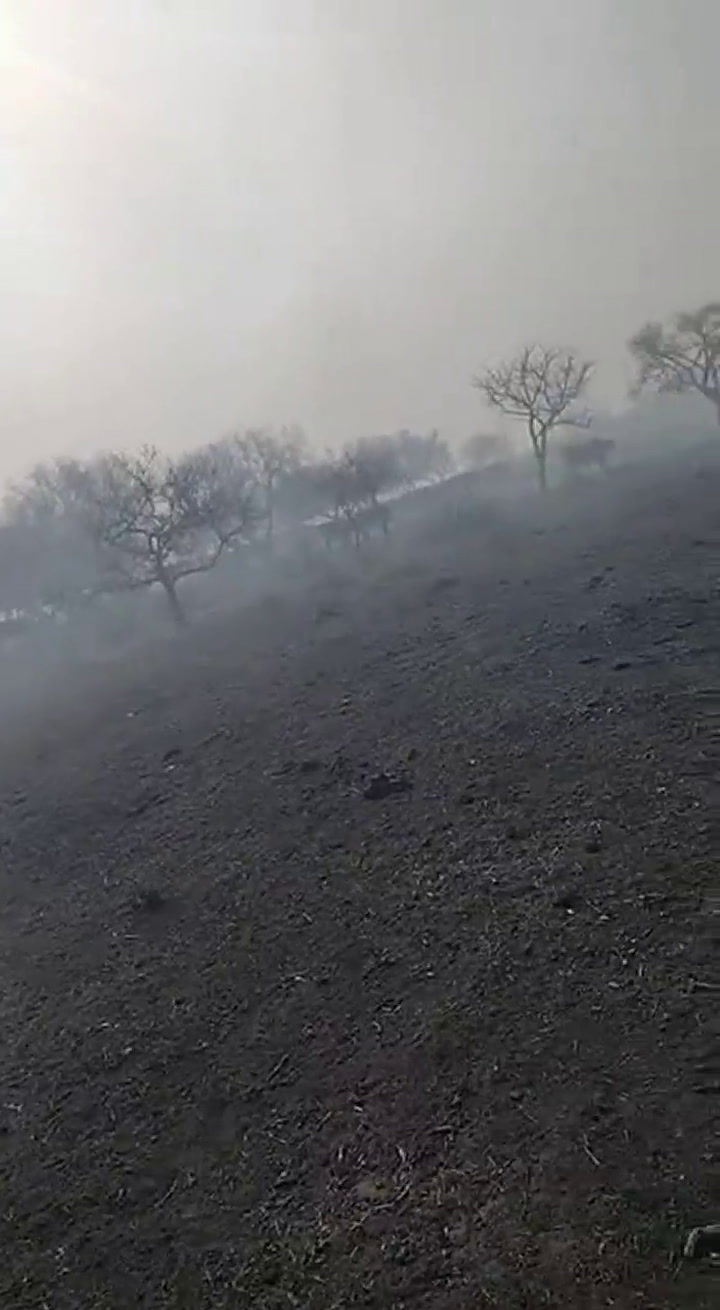 Un productor de la isla del Delta grabó la escena de su campo devorado por los incendios