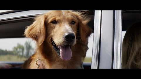'A Dog's Purpose' (2017) Trailer