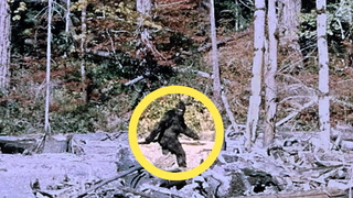 New Sasquatch museum tells the story of this legendary beast in Canada