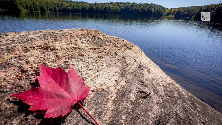 HOW THE FIRST WEEK OF FALL LOOKED ACROSS CANADA