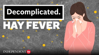 Everything you need to know about hay fever