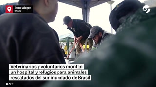 La lucha por salvar animales atrapados en el devastado sur de Brasil