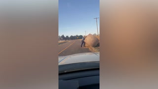 State trooper moves massive hay bale out of road: ‘Never miss leg day’