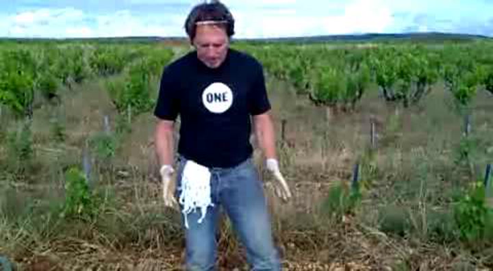 Video Contest 2010, Honorable Mention: Weeds?!