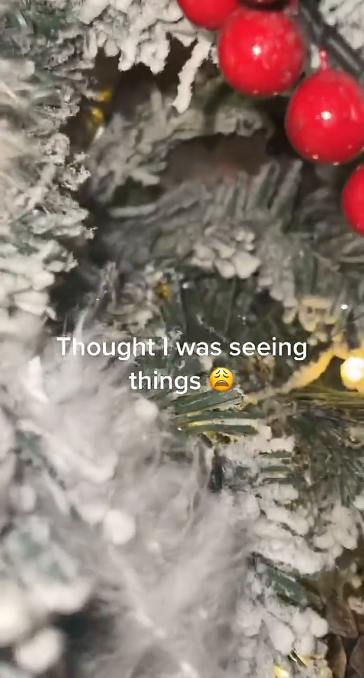 Una mujer encontró un ratón en su árbol de Navidad