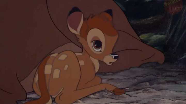 Video trailer de "Bambi"