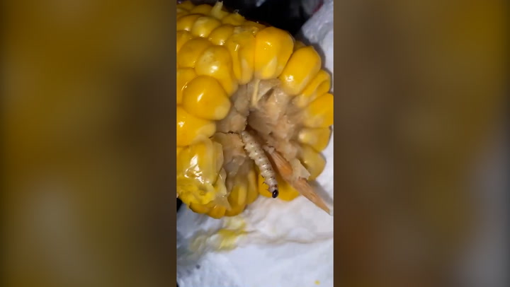 'Dead worm' measuring inches long pops out of KFC corn on the cob