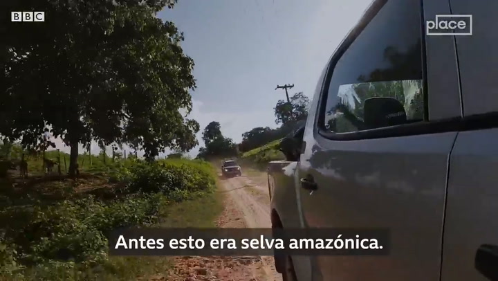 Guardianes del Amazonas: reportaje especial - Fuente: BBC Mundo
