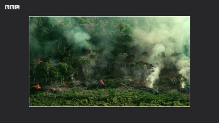 Las razones por las que se quema el amazonas. Fuente: BBC
