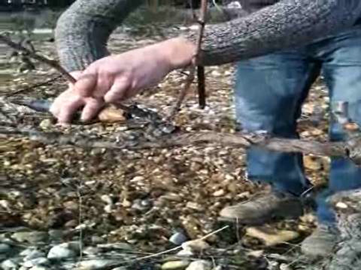 Video Contest 2010, Honorable Mention: Pruning Workshop