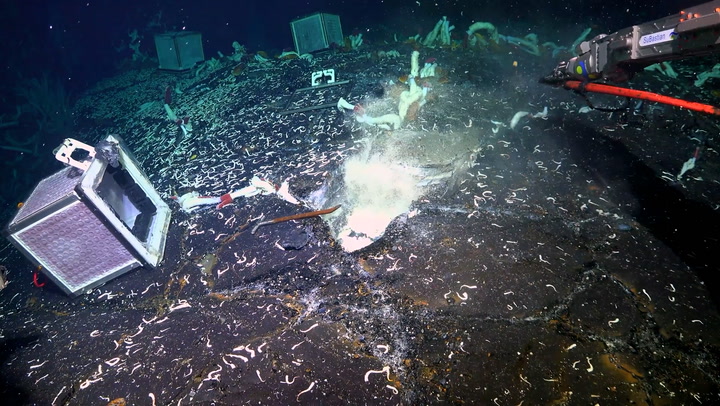 Never-seen-before ecosystem thrives in volcanic caves beneath ocean hydrothermal vents