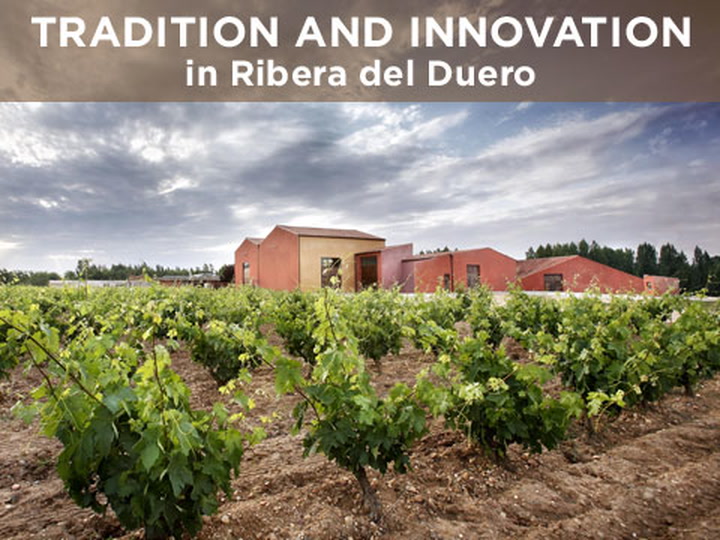 Ribera del Duero: Tradition and Innovation