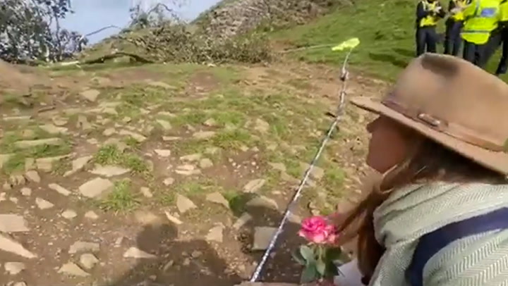 Walker lays flower tribute at historic Sycamore Gap after tree felling
