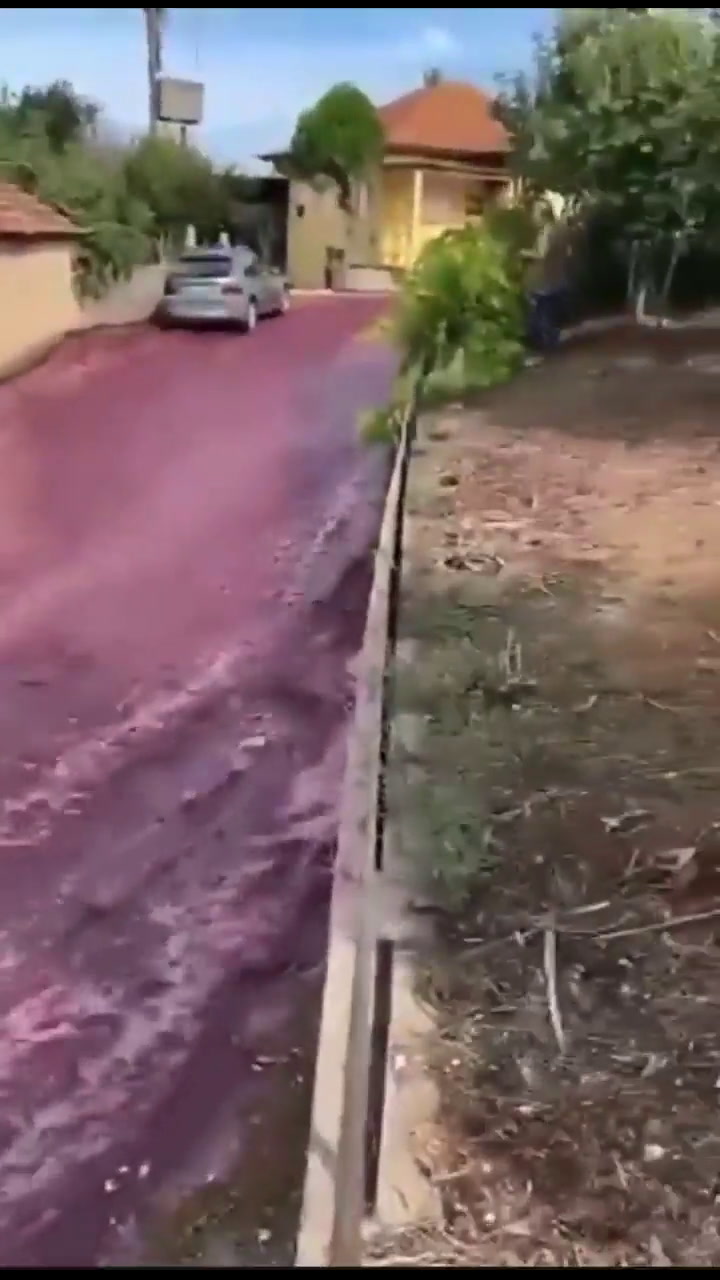 Dos tanques de una destilería estallaron y formaron un río de vino en Portugal