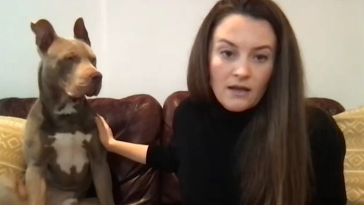 XL bully owner 'praying for a Christmas miracle' ahead of upcoming ban