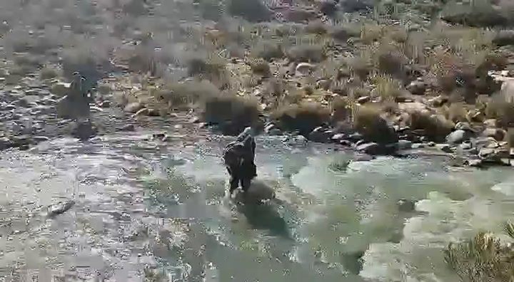 Censistas cruzan un río - Fuente: Gendarmería