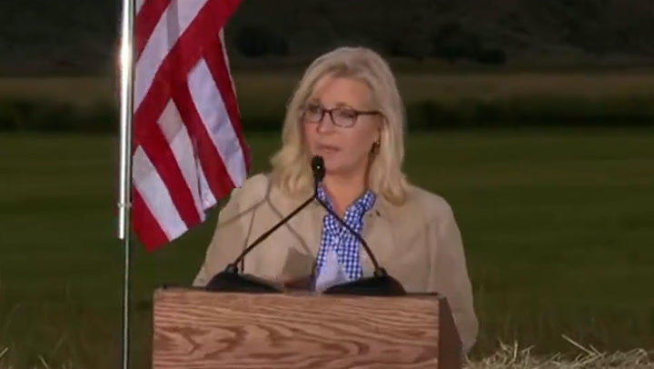 Liz Cheney concedes in her primary race