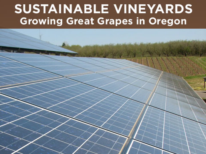Oregon Certified Sustainable Wine