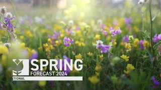 Canada's 2024 Spring Forecast: A moody spring will create fuel for storms
