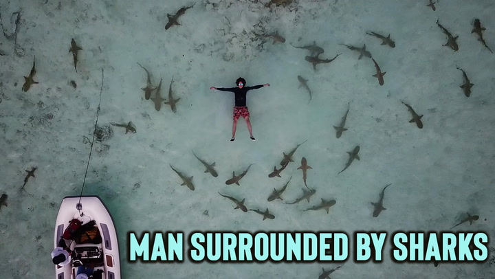 Drone footage shows man chilling in shark infested waters