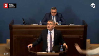 Gritos y golpes en el parlamento de Georgia por un proyecto de ley
