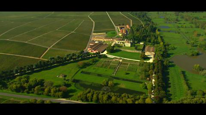 Lafite Rothschild Aerial Video
