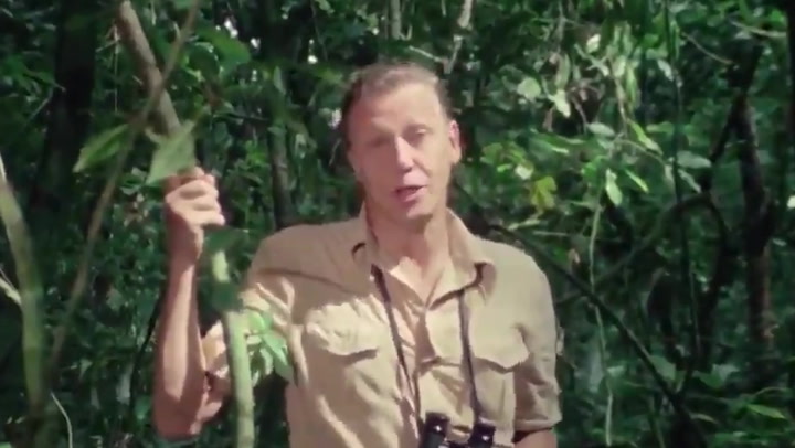 David Attenborough's first appearance in Life on Earth as series sees 45th anniversary