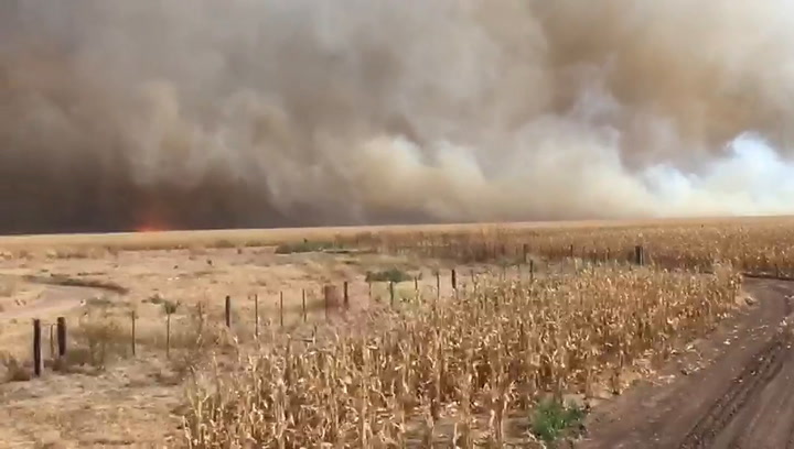 En Santiago del Estero se quemaron 4500 hectáreas
