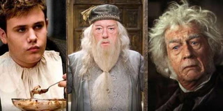 Se desarma el mundo mágico: Michael Gambon y los otros 25 muertos de la saga Harry Potter